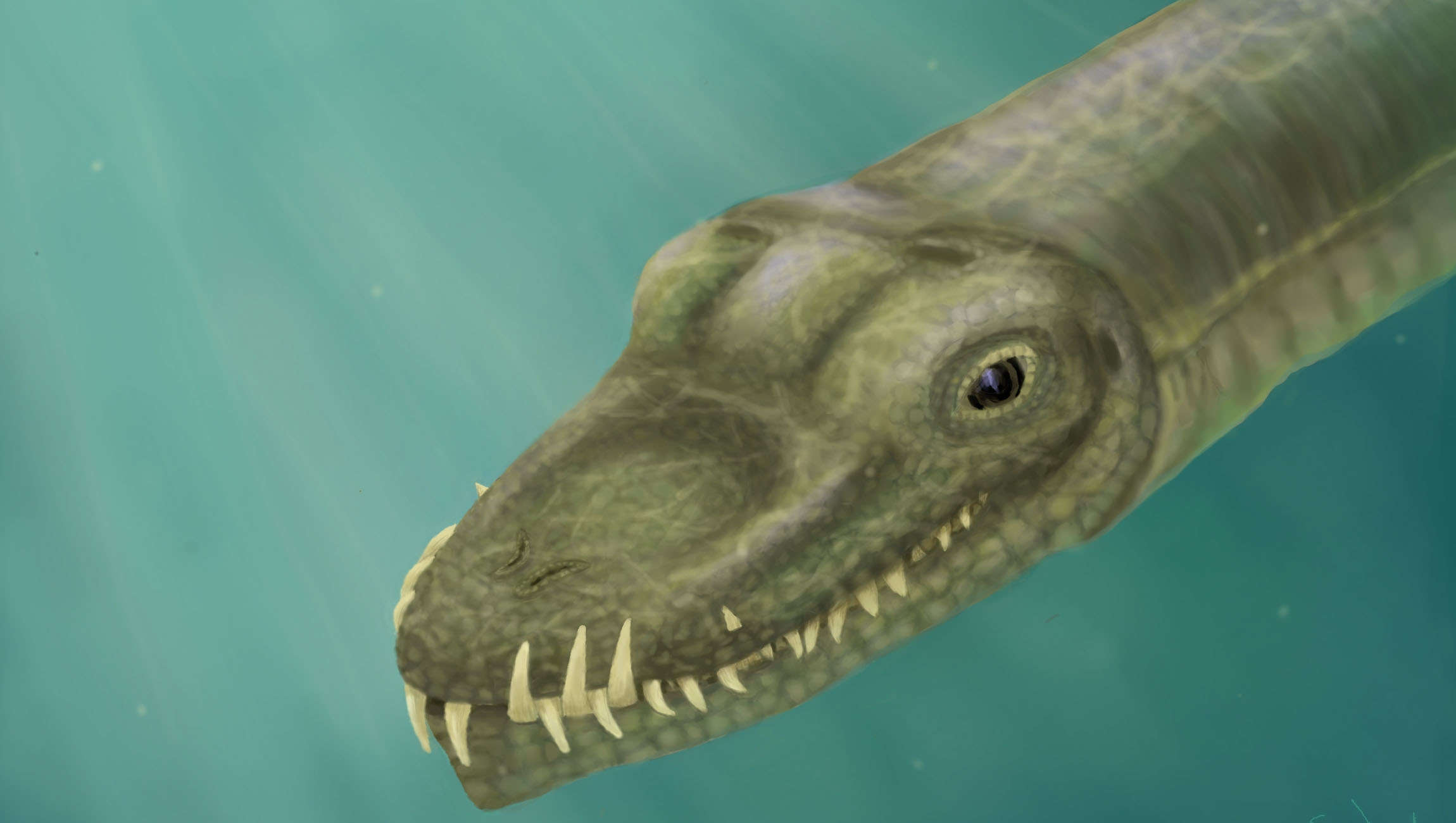 Tanystropheus had a disproportionate neck three times its body length — but  why? | SYFY WIRE