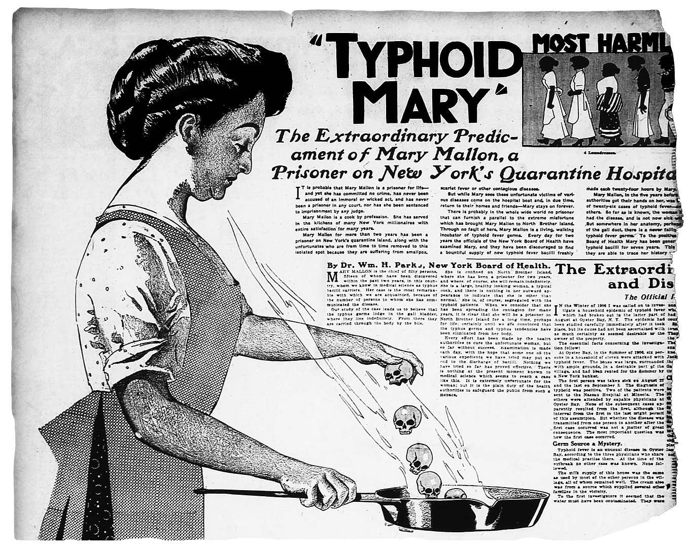 Typhoid Mary Wikimedia Commons