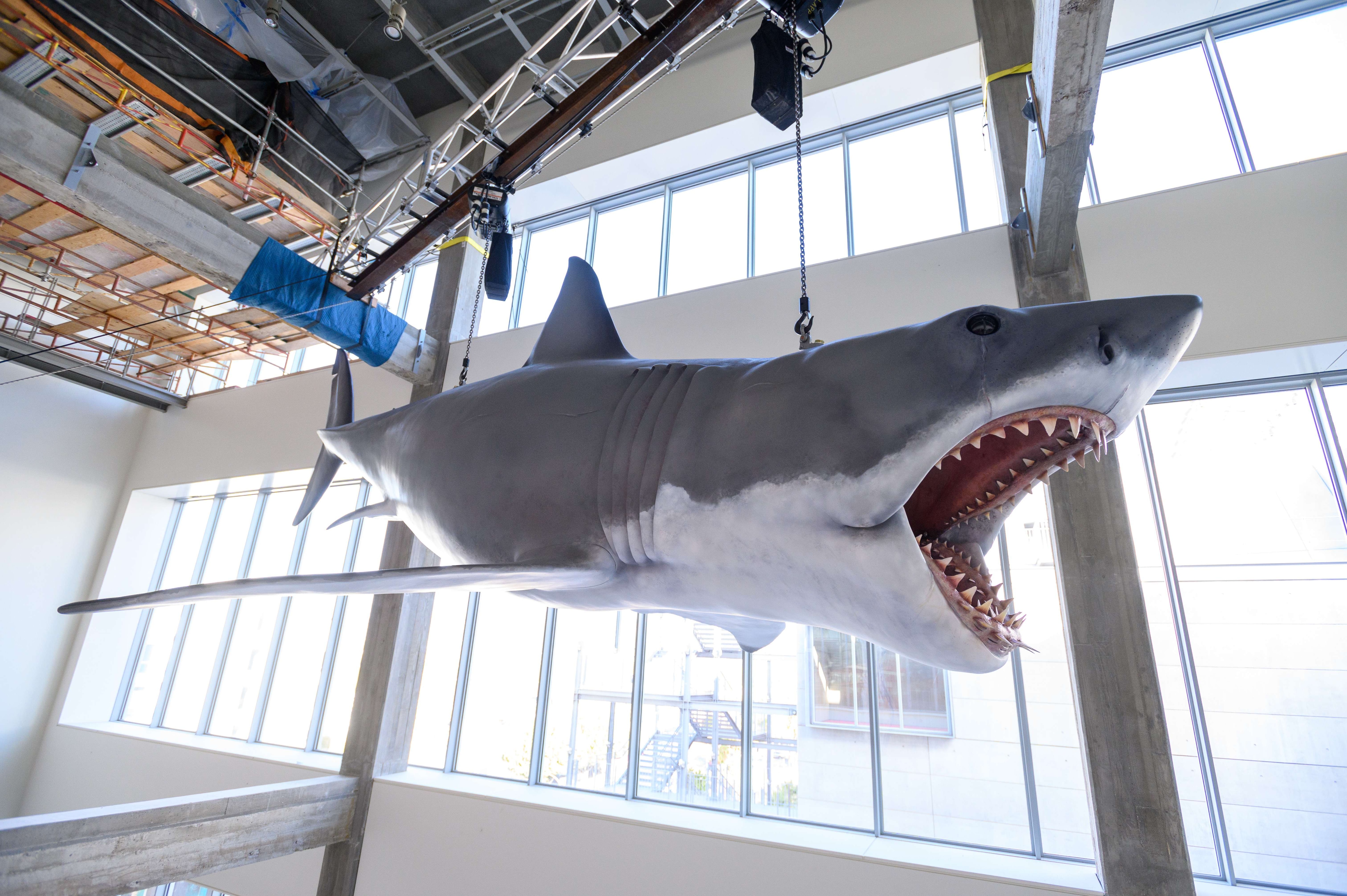Bruce the Shark from Jaws at the Academy Museum