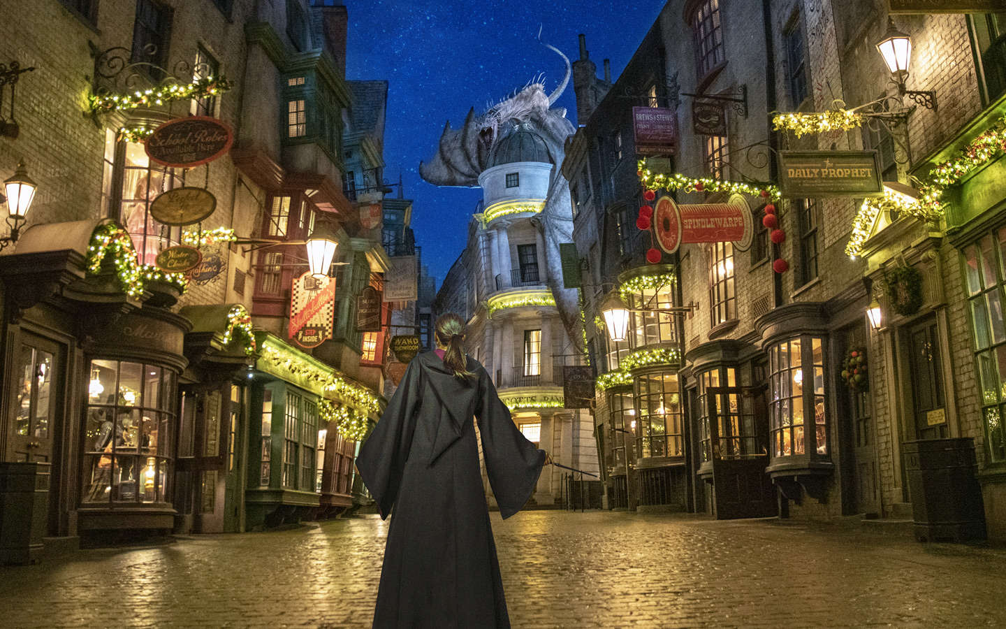 Person standing in Diagon Alley