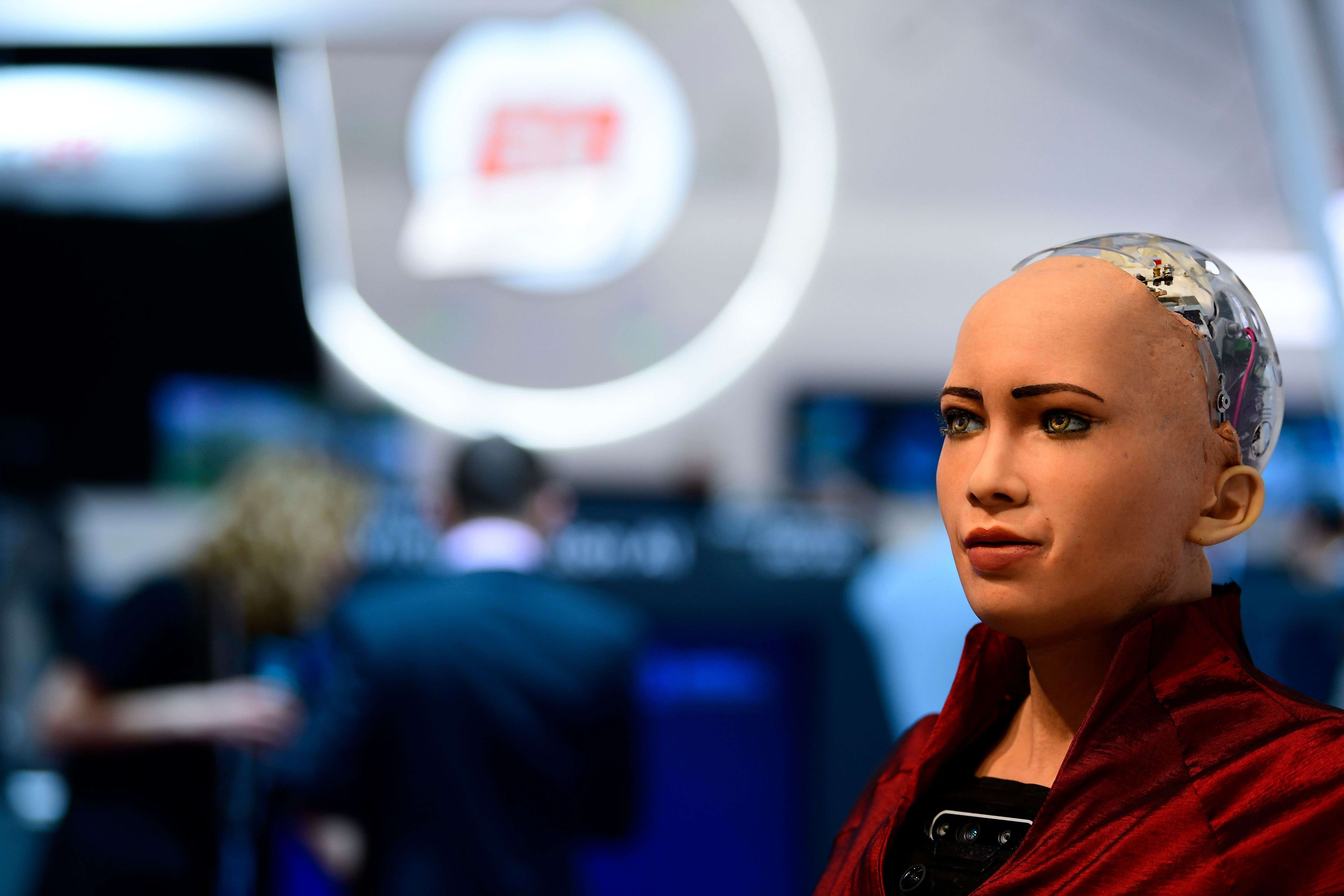 Sophia the social robot