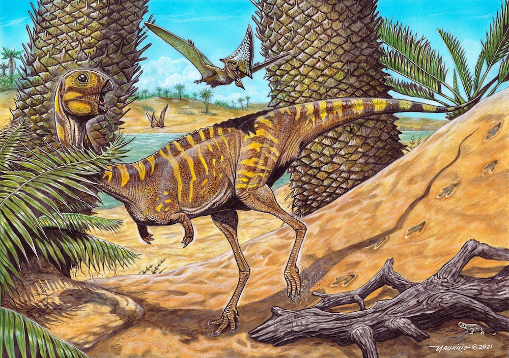 Cassidy artist's rendering of Berthasaura leopoldinae PRESS