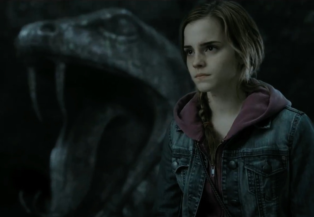 Hermoine Harry Potter and The Deathly Hallows Pt. 2