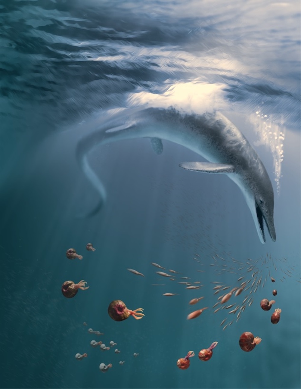 Cassidy Life reconstruction of Cymbospondylus youngorum, in a Triassic ocean  PRESS