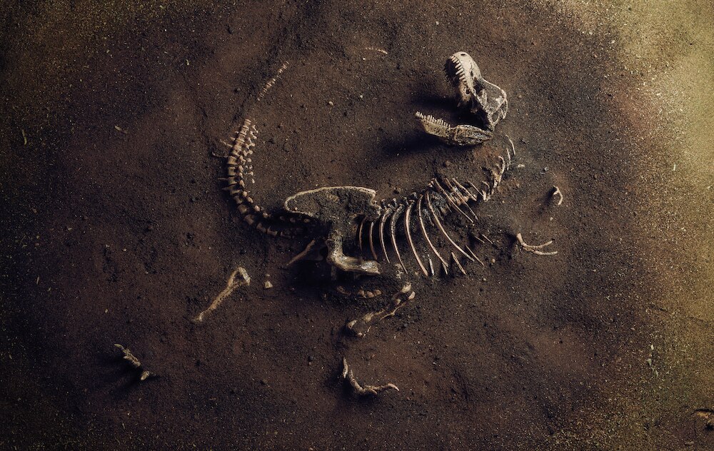 Could AI do autopsies on dinosaur skeletons?