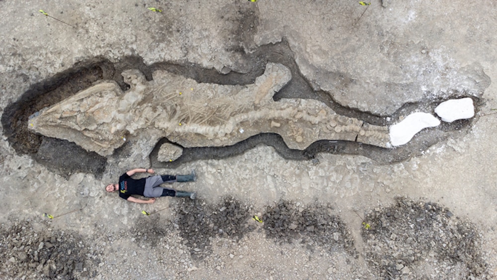 Dragons are real…at least this monster fossilized ichthyosaur could count as one