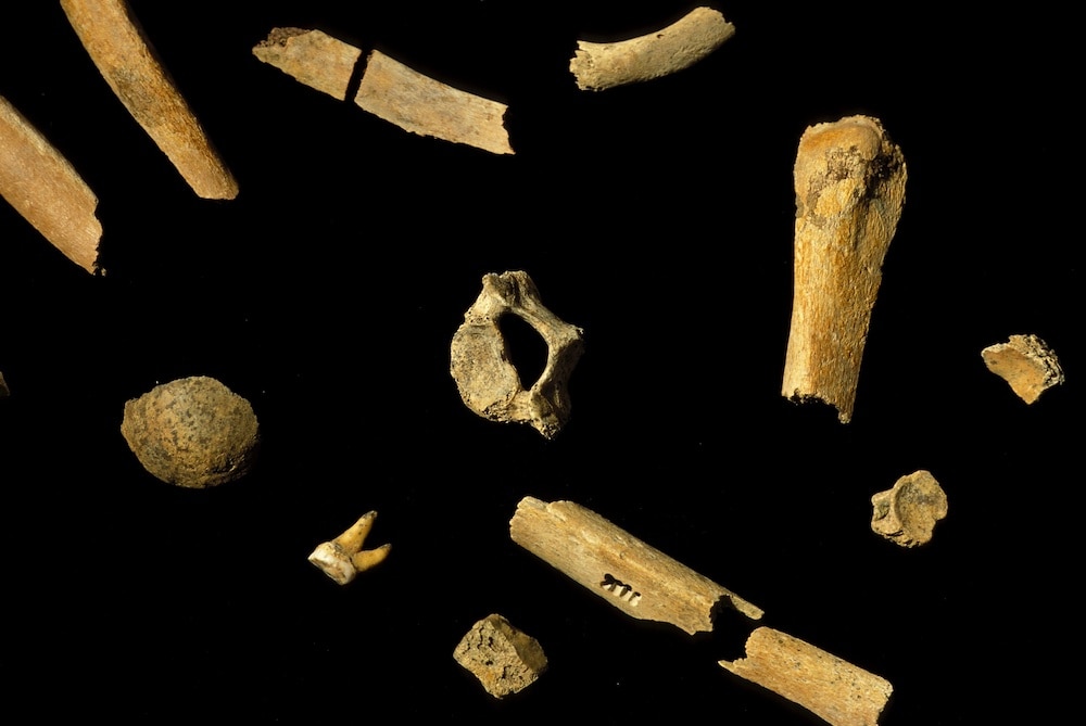 Liz Neanderthal Bones GETTY