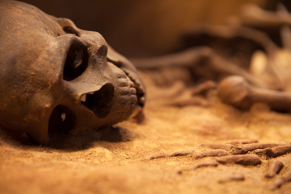 Humans were taking over Europe much earlier than we thought