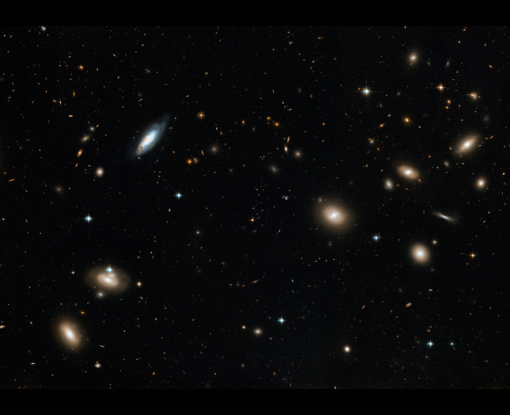 The Coma Cluster
