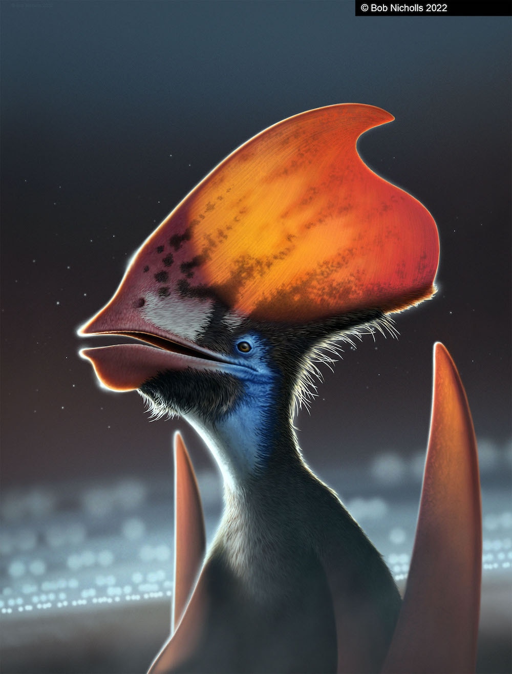 Pterosaur illustration