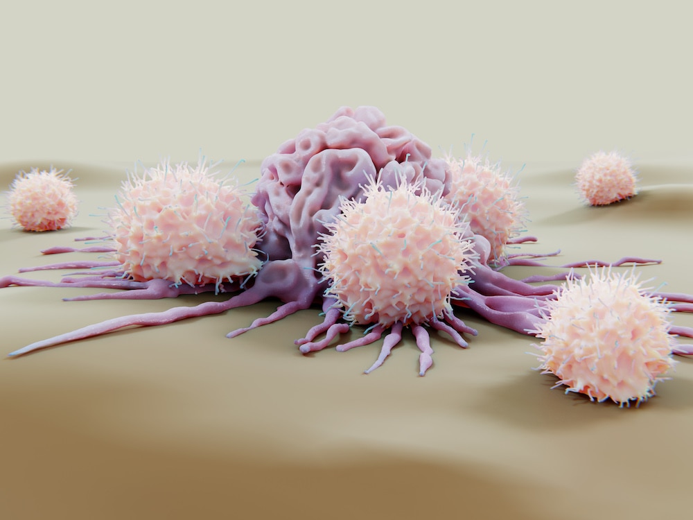 Illustration of natural killer cells (pink) attacking a cancer cell (purple)