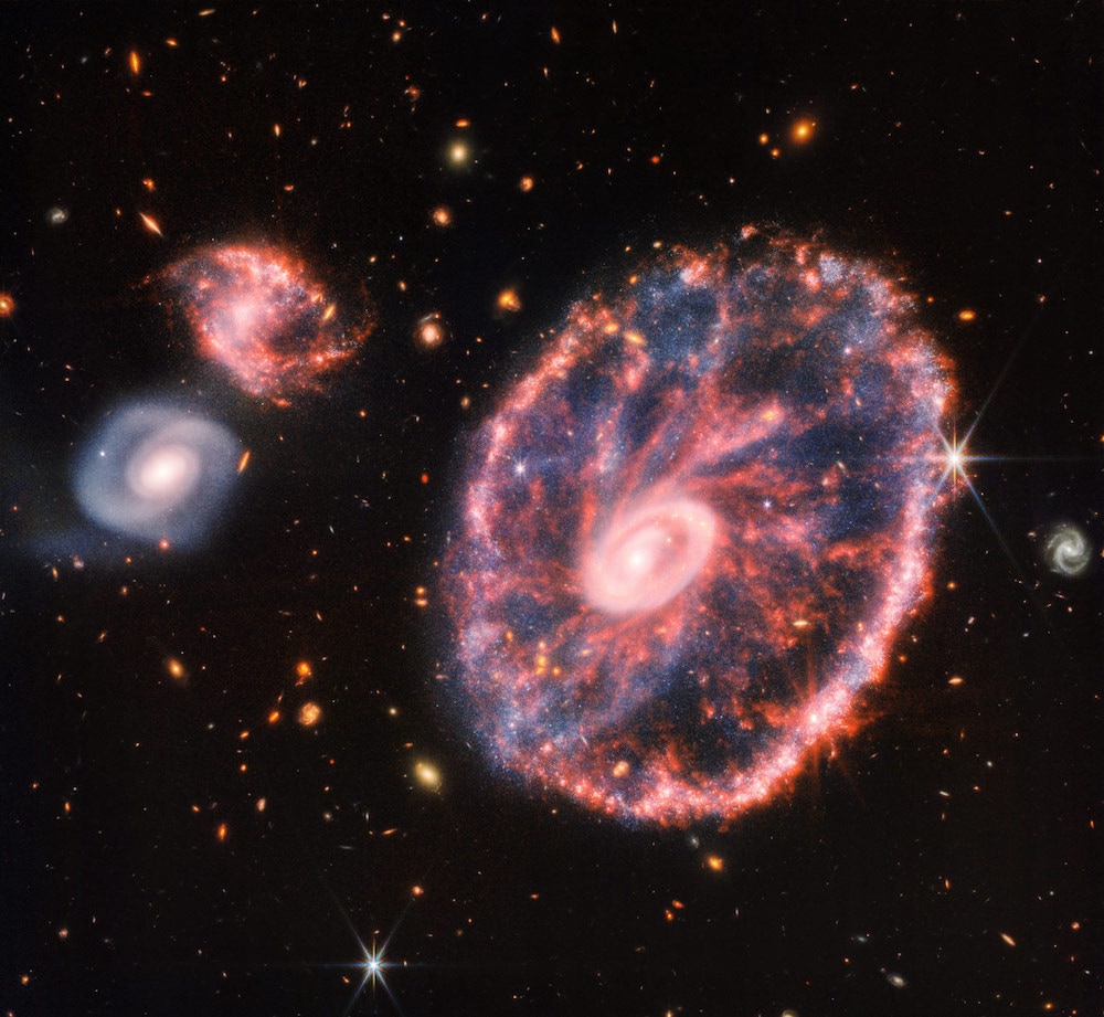 Head-on cosmic collision: The incredible Cartwheel galaxy seen by JWST