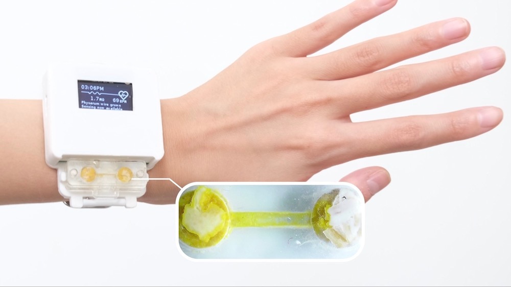 Slime Mold Smart Watch