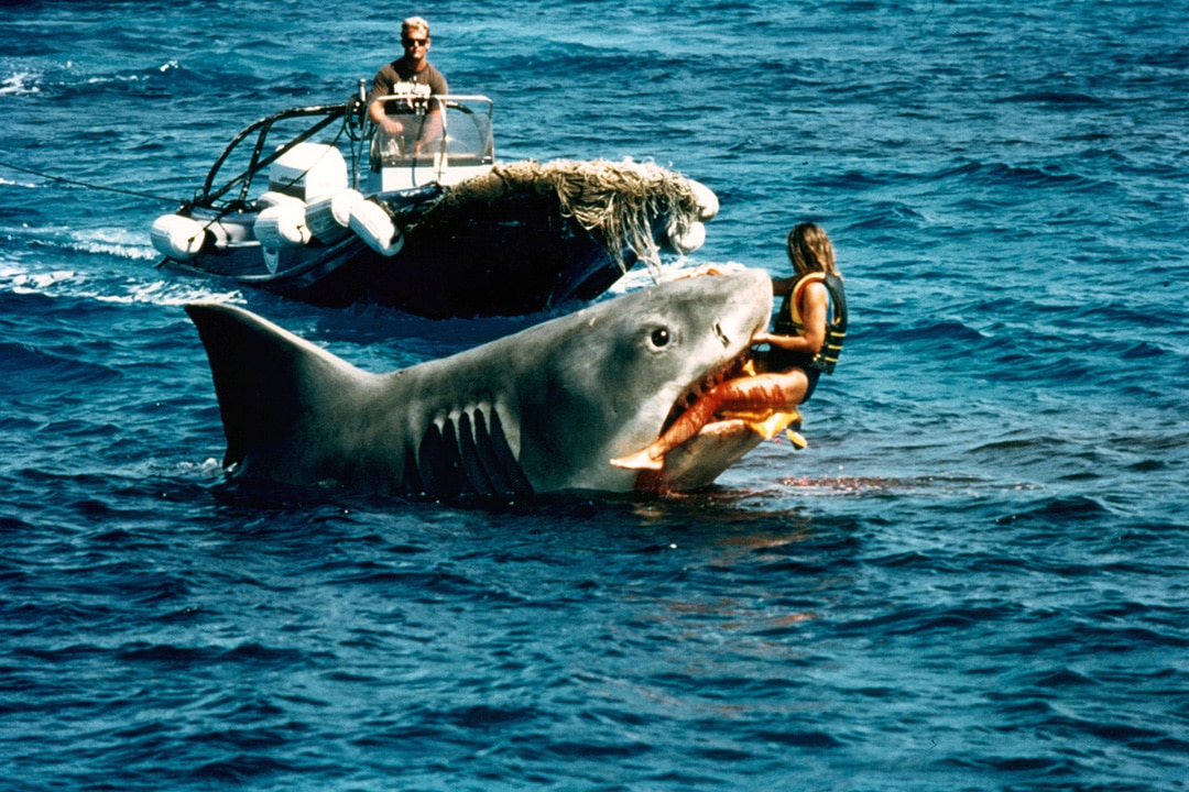 Behind the scenes of Jaws: The Revenge (1987)