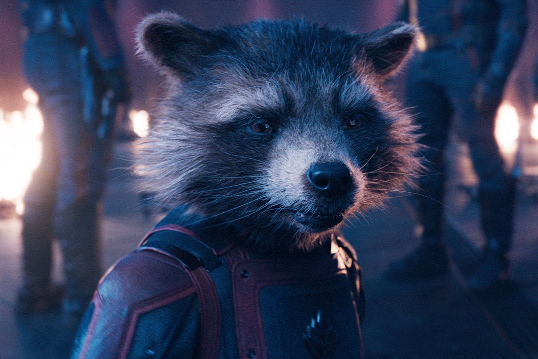 Rocket (voiced by Bradley Cooper) in Guardians of the Galaxy Vol. 3 (2023)