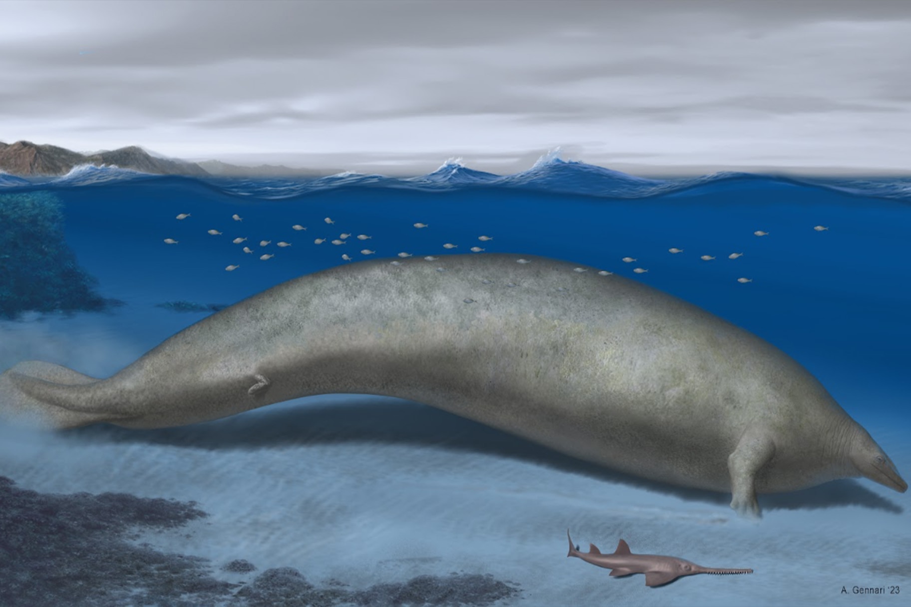 Artist's life rendering of Perucetus colossus