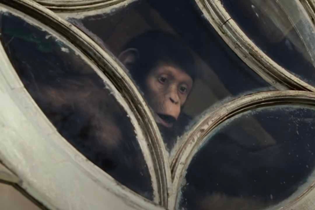 A monkey peers out a window in Rise of the Planet of the Apes (2011)/