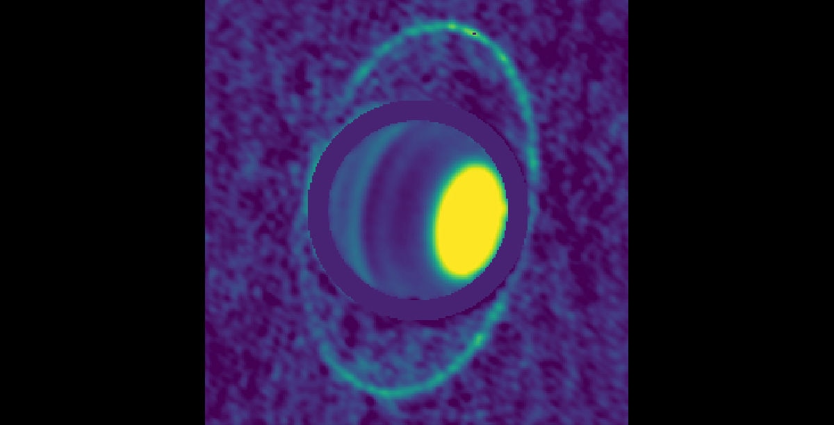 Composite image of Uranus and its rings in millimeter wavelengths shows the rings emitting light due to their “warm” 77K temperature. Credit: Edward Molter and Imke de Pater