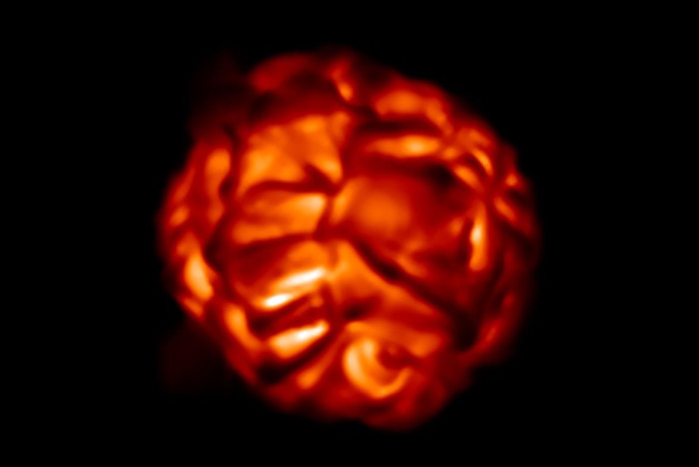 A simulation of the physical conditions inside Betelgeuse predict what the surface looks like, given hot gas rising, cooling, and falling back inside. Credit: Bernd Freytag