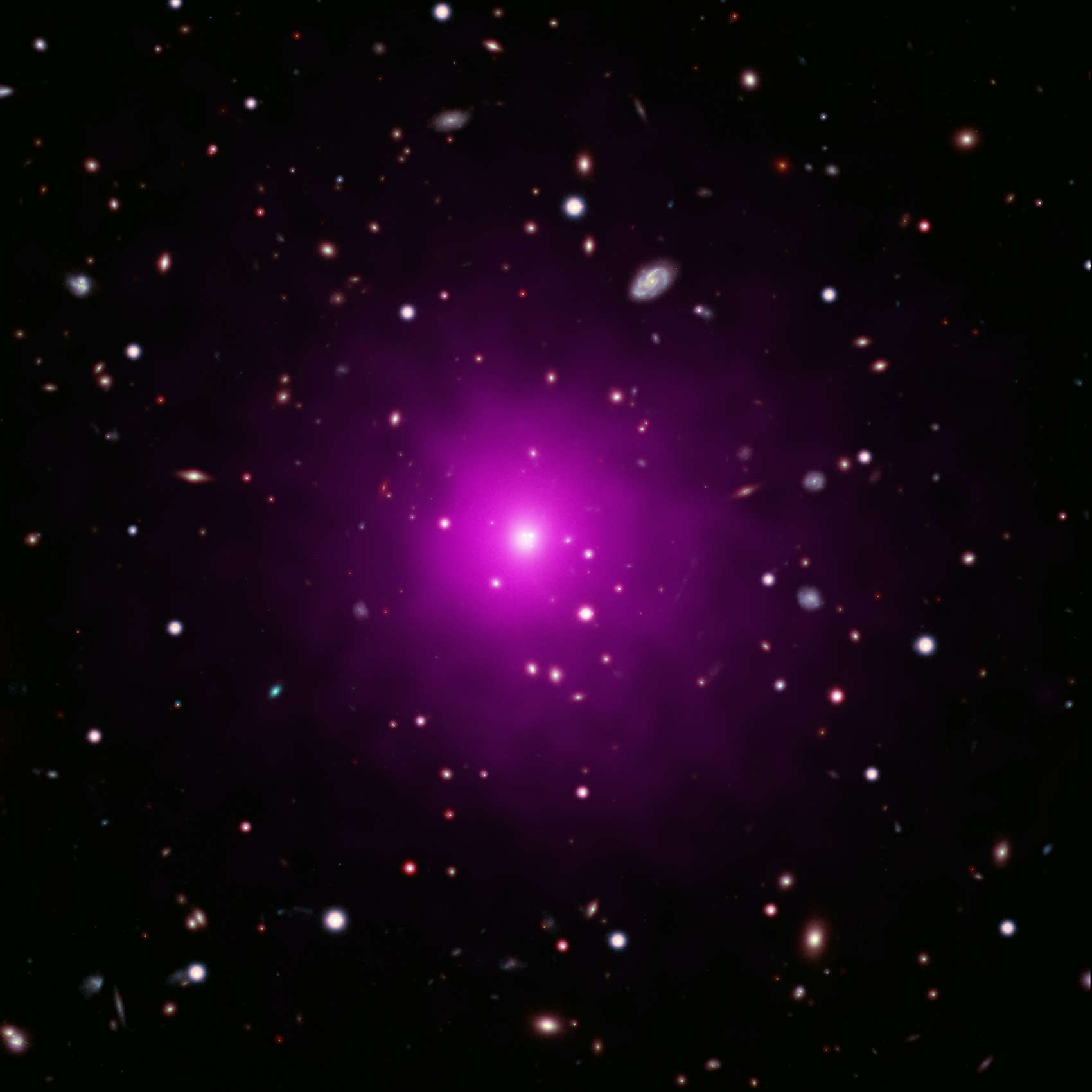 X-ray (purple) and visible light composite of the center of the galaxy cluster Abell 2261. 