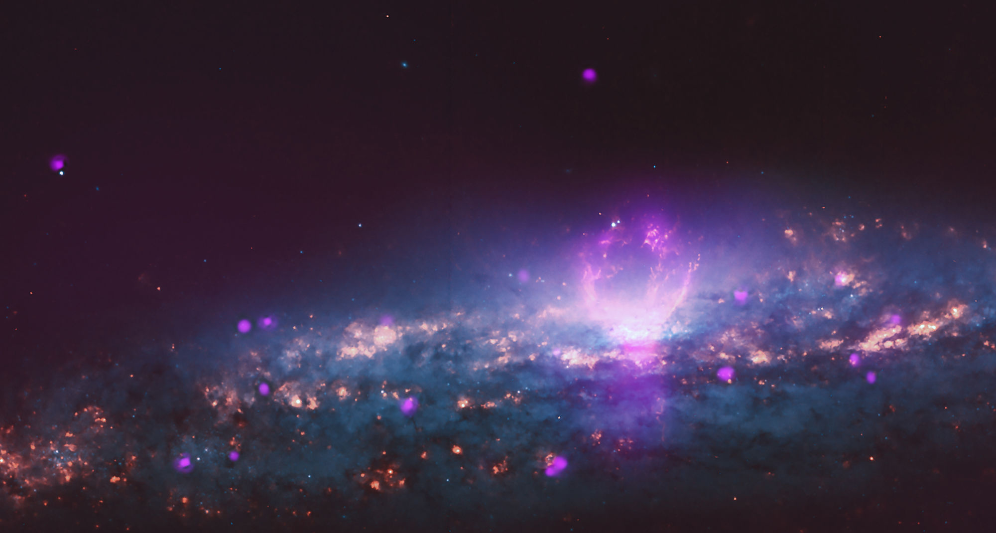 The galaxy NGC 3079 shows stars seen by Hubble (orange and blue) as well as X-rays (purple) by the Chandra X-ray Observatory. Credit: X-ray: NASA/CXC/University of Michigan/J-T Li et al.; Optical: NASA/STScI