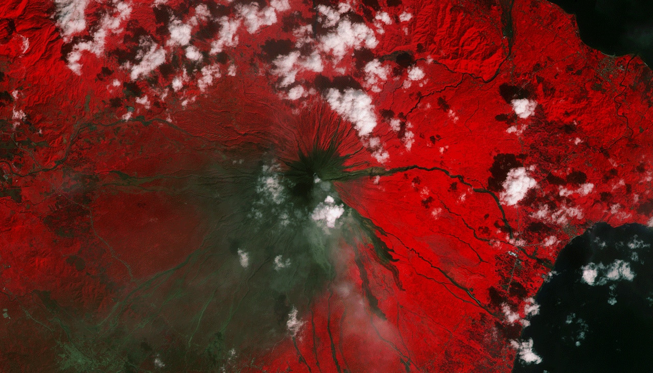 Infrared observations of the Mayon volcano by the Copernicus satellite shows vegetation (red) and the damage done by the latest eruption of lava (green/brown).  Credit: ESA 