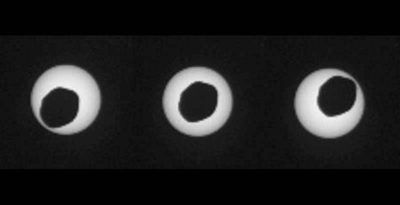 The rover Curiosity took this series of images of the Martian moon Phobos transiting the Sun. Credit: NASA/JPL-Caltech/Malin Space Science Systems/Texas A&M Univ.