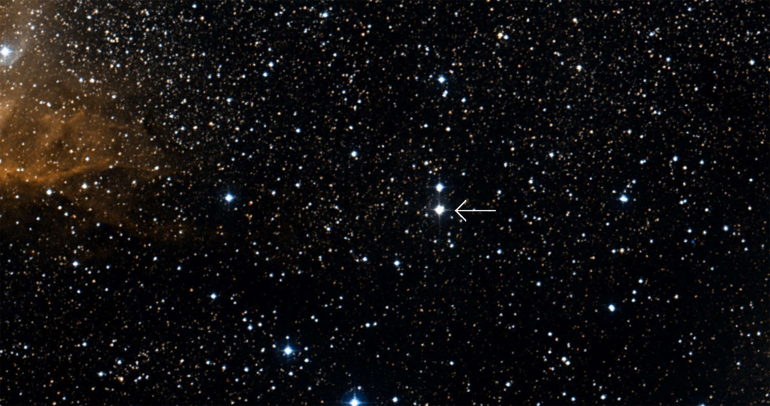 Image of the star HD 226868 (arrow), a massive and luminous star that is orbited by a black hole (not seen here), creating Cygnus X-1. Credit: Aladin/DSS2