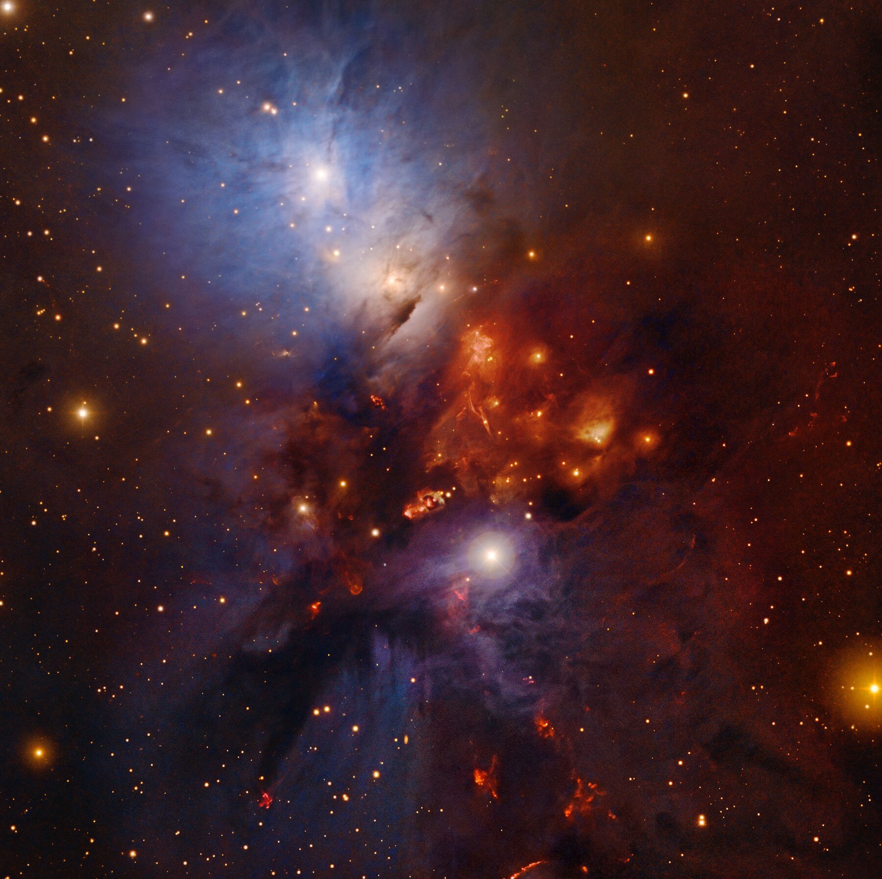 Turbulence, eruptive stars, gassy discharge, and sheer beauty: NGC 1333 has it all. Credit: NAOJ/DSS/NOAO/Robert Gendler & Roberto Colombari