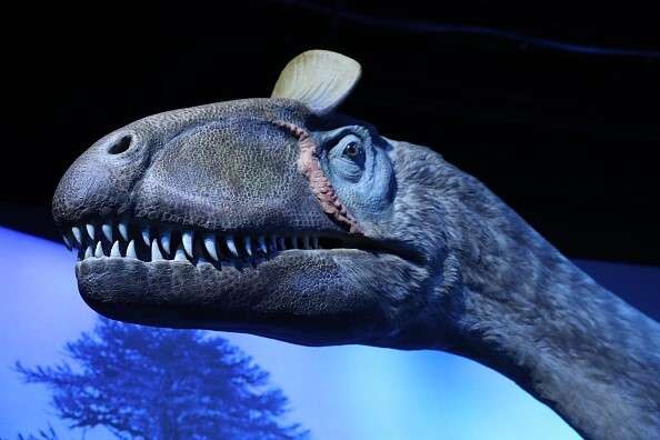  Cryolophosaurus Elvisaurus arctic dinosaur
