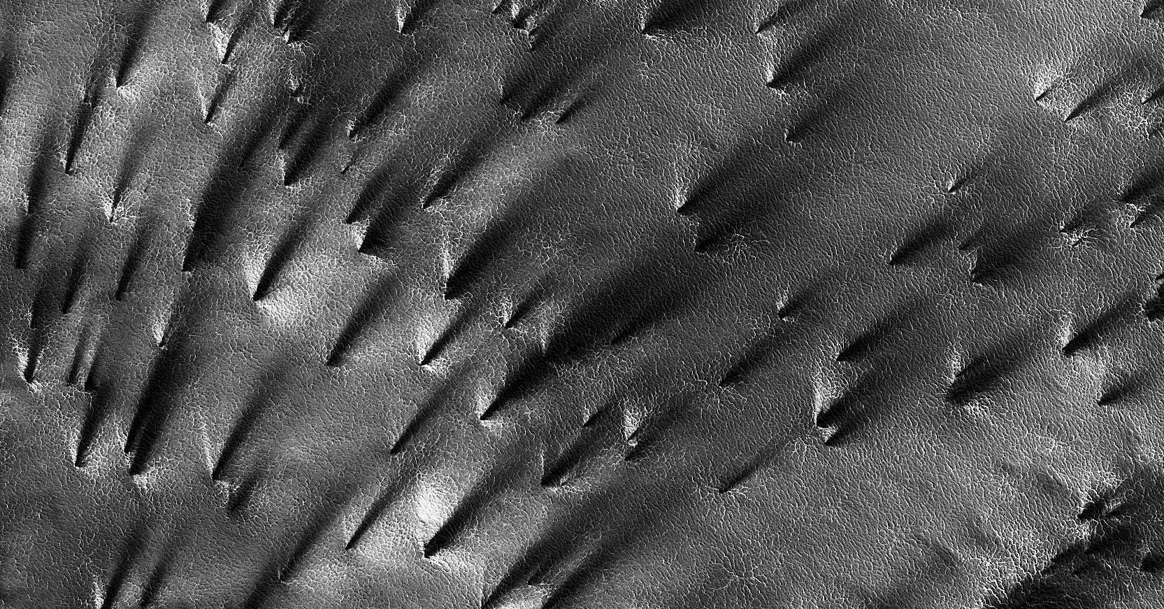 HiRISE camera view of strange fan-like sprays of dark material erupting from the ground near the south pole of Mars. Credit: NASA/JPL/UArizona