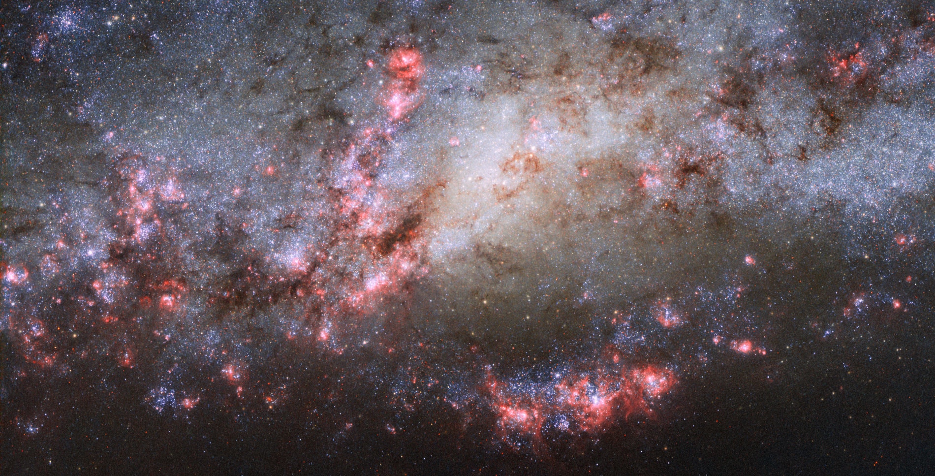 NGC 4490, a galaxy bursting with star formation after a recent close encounter with a smaller galaxy. Credit:  ESA/Hubble & NASA Acknowledgements: D. Calzetti (UMass) and the LEGUS Team, J. Maund (University of Sheffield), and R. Chandar (University of To