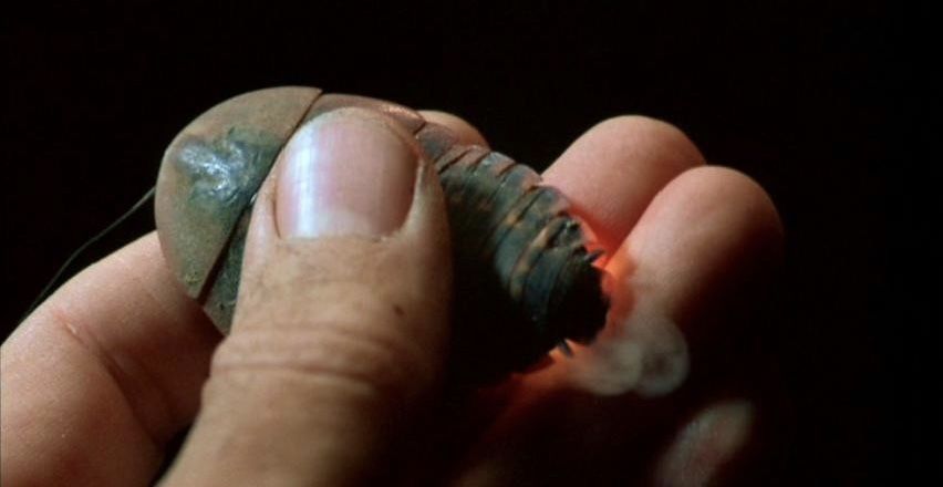 Cockroach_Bug_1975