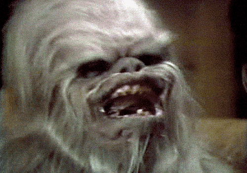 Wookiee Porn - 42 thoughts I had while watching the Star Wars Holiday Special