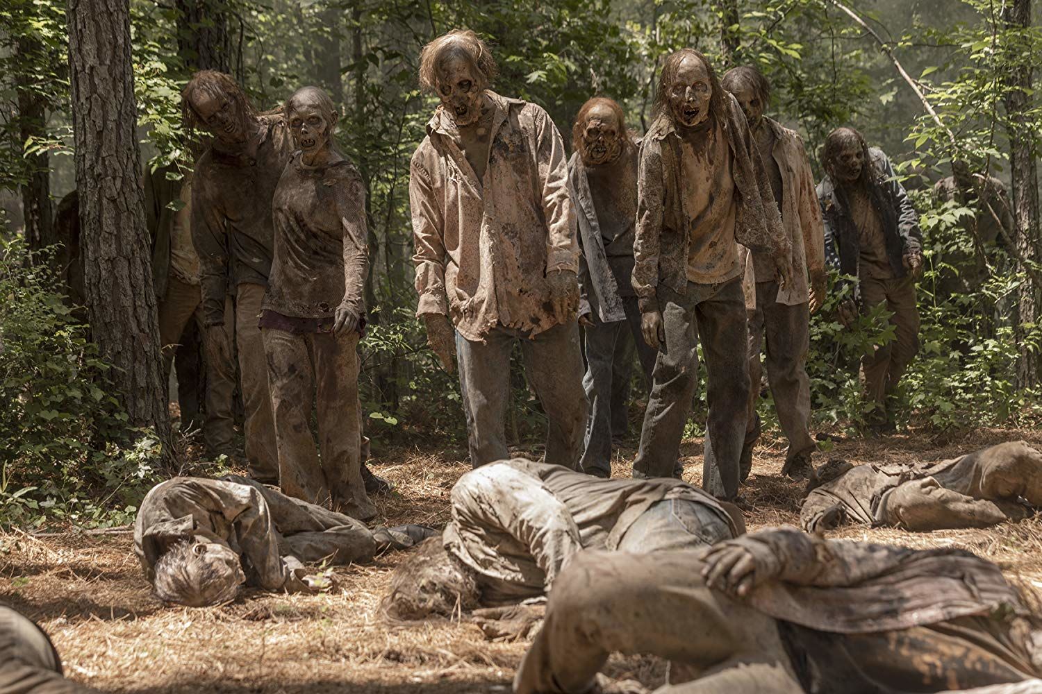 The Walking Dead AMC