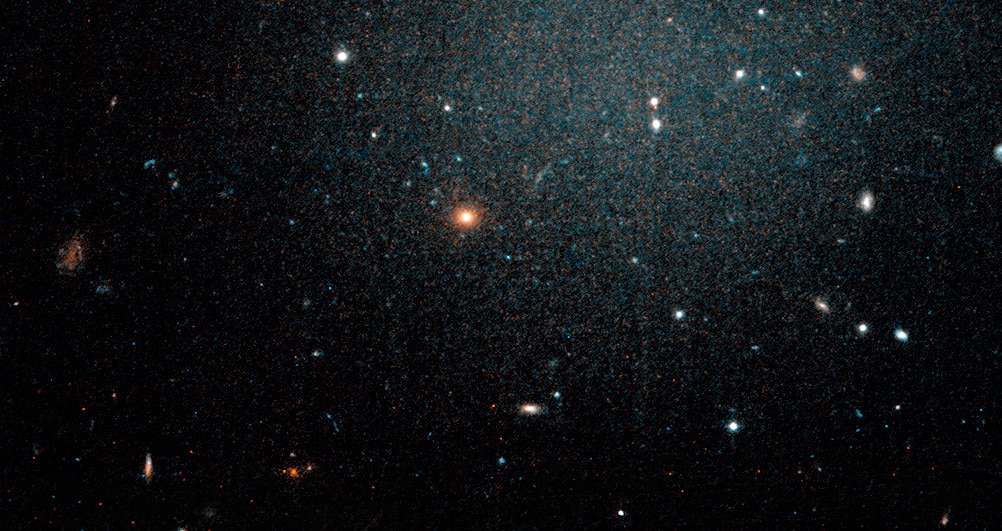 This Hubble Space Telescope image of NGC 1052-DF2 shows it as a faint bluish glow, and we see far more distant background galaxies right through it. Credit: P. van Dokkum; R. Abraham; STScI, Space Telescope Science Institute