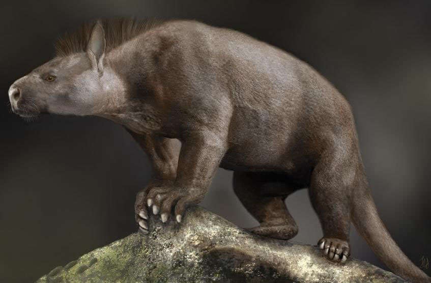 prehistoric mammal
