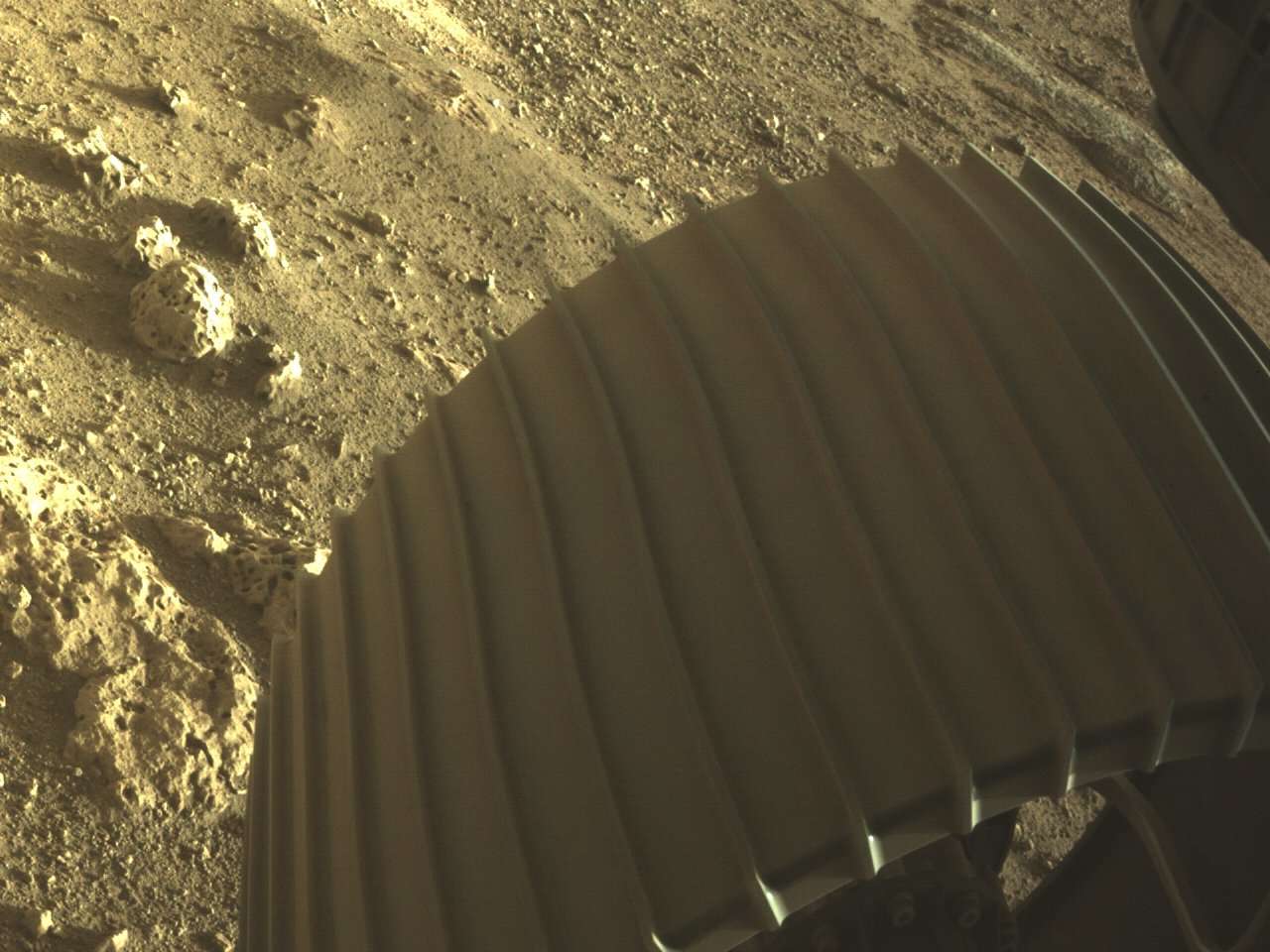 One of the Perseverance rover’s wheels seen in color on Mars. Note the rocks around it; scientists are very curious if they are volcanic or sedimentary in origin. Credit: NASA/JPL-Caltech
