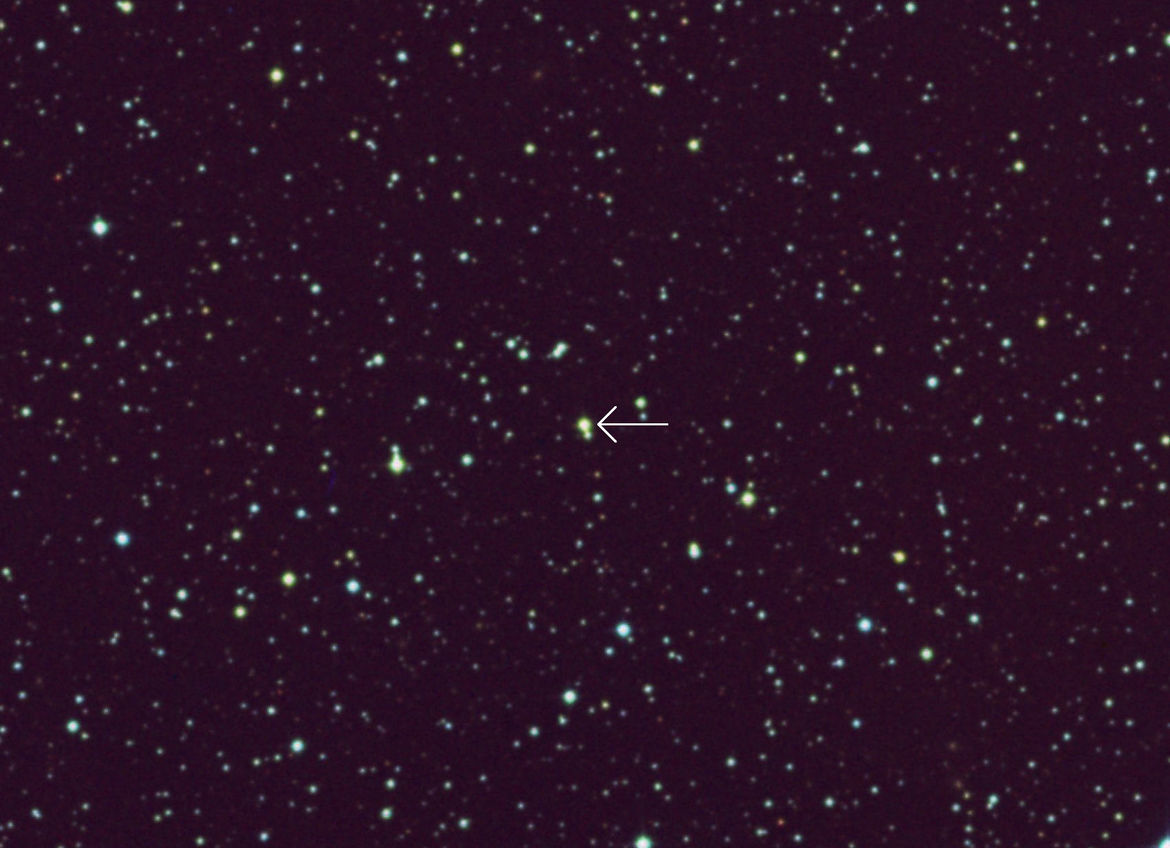 The star 2MASS J05215658+4359220 (arrowed) is possibly orbiting a low-mass black hole (not arrowed, because it’s black, so you can’t see it anyway). Credit: SkyView