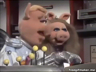 Image result for pigs in space gif