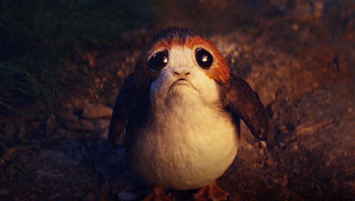 The real crime of Star Wars: The Last Jedi is its treatment of porgs | SYFY  WIRE