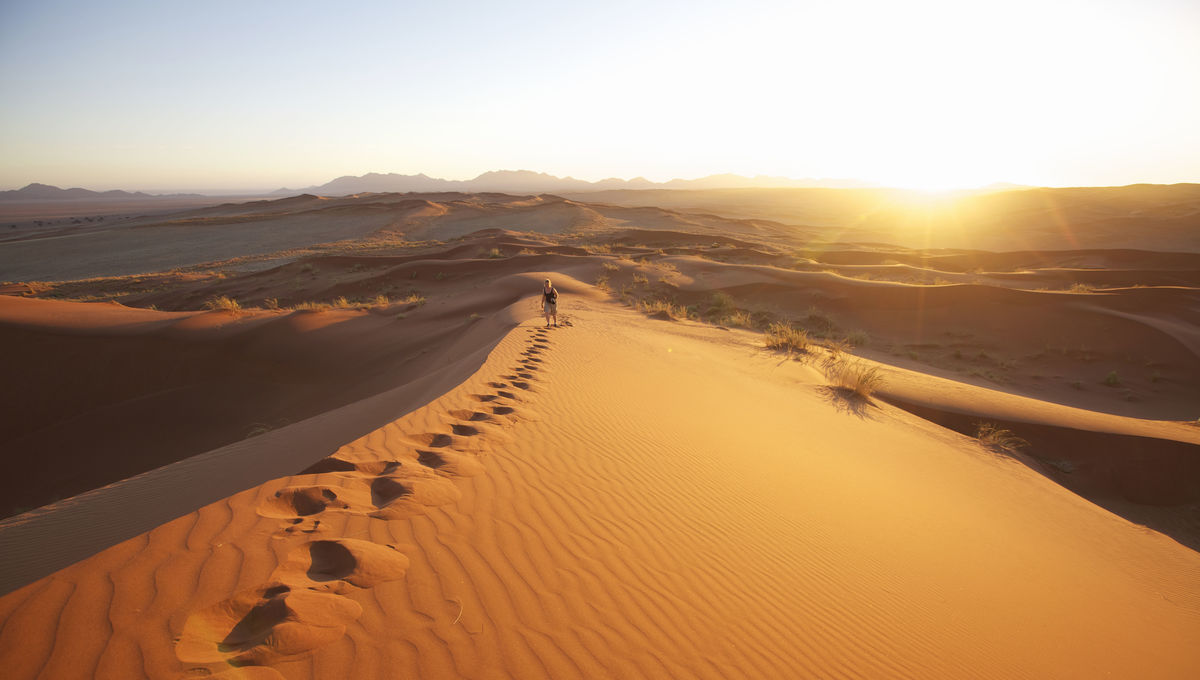Image result for the desert