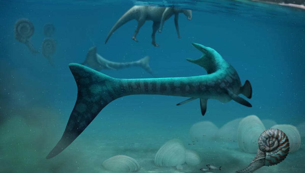 Miners In Alberta Uncover A Tylosaurus Fossil While Seeking