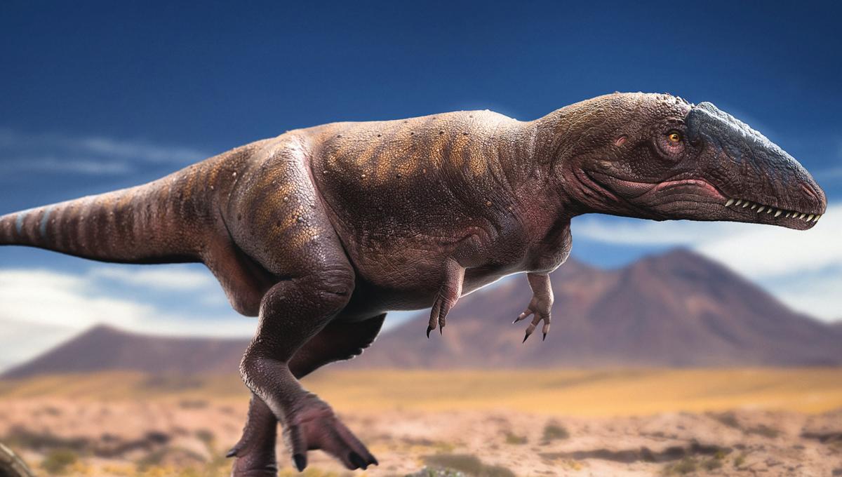 Siamraptor Suwati A New Species Of Carnivorous Dinosaur - 