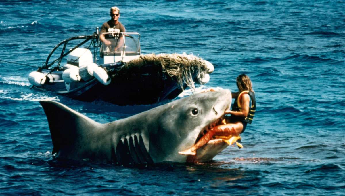 Final surviving Jaws shark will be immortalized in Academy ...