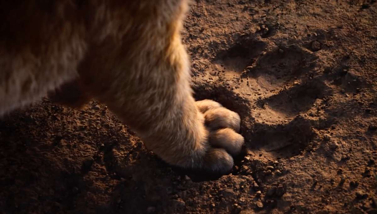 the lion king trailer 2019