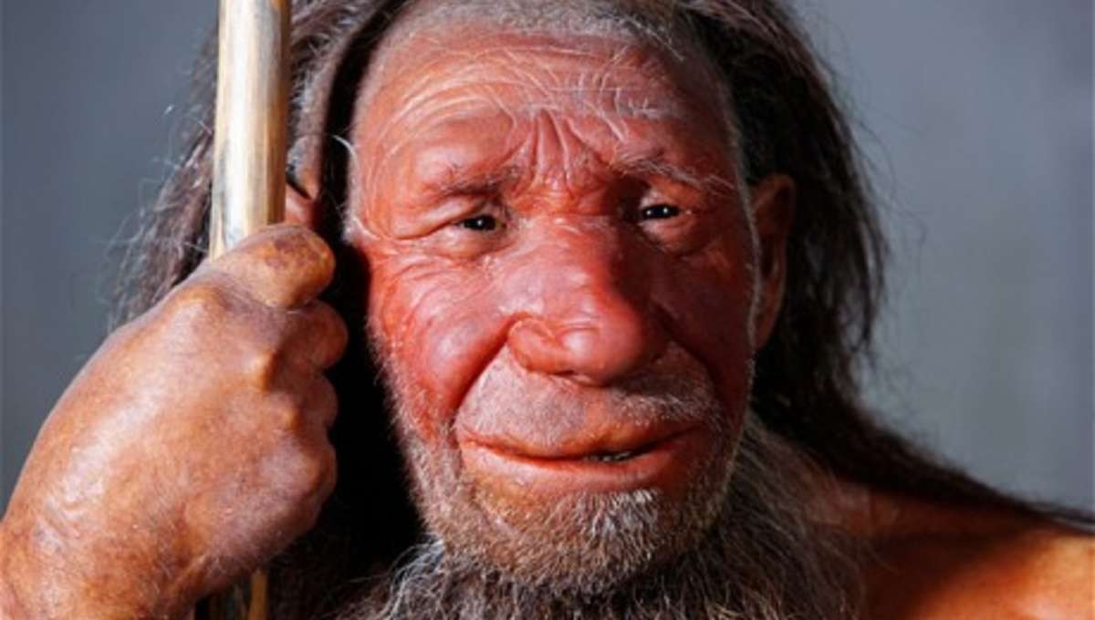 The reason scientists thought Neanderthals looked that way was WRONG