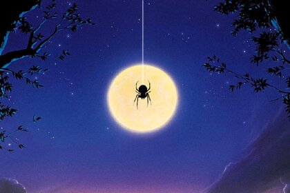 Arachnopobia poster close-up