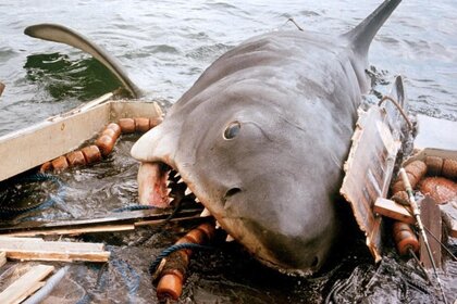 Jaws