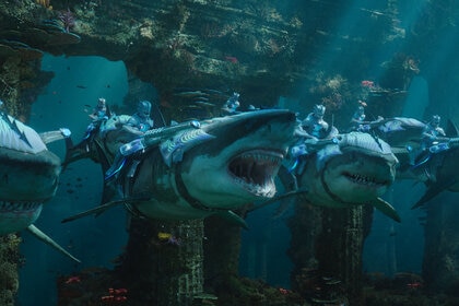 Aquaman sharks